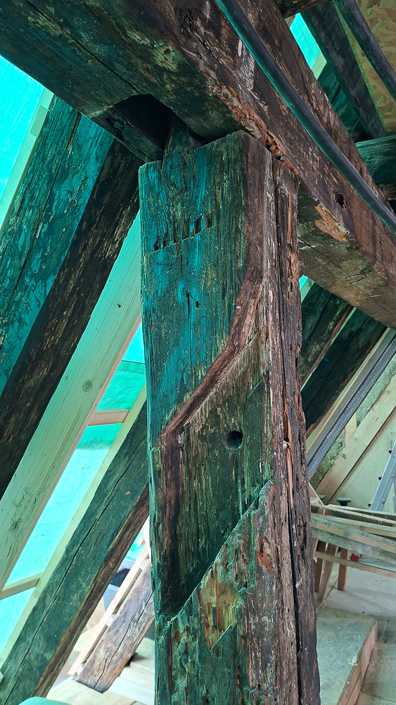 20260913_130845.jpg