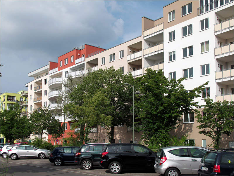 gruene_neune01.jpg