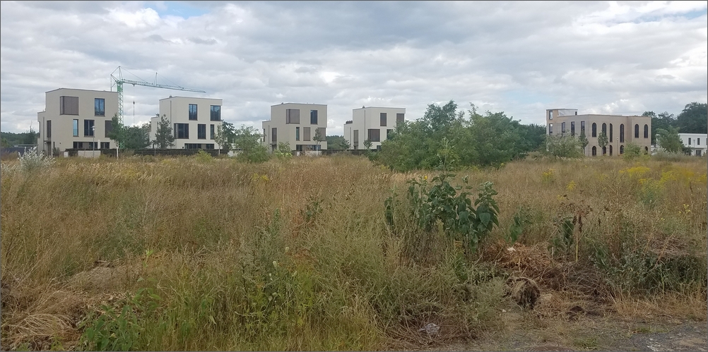 campus_jungfernsee13.jpg
