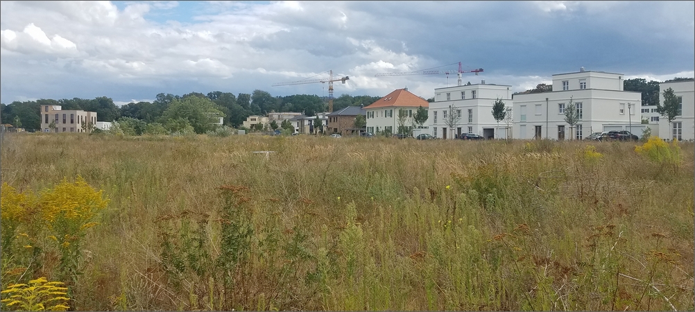 campus_jungfernsee16.jpg