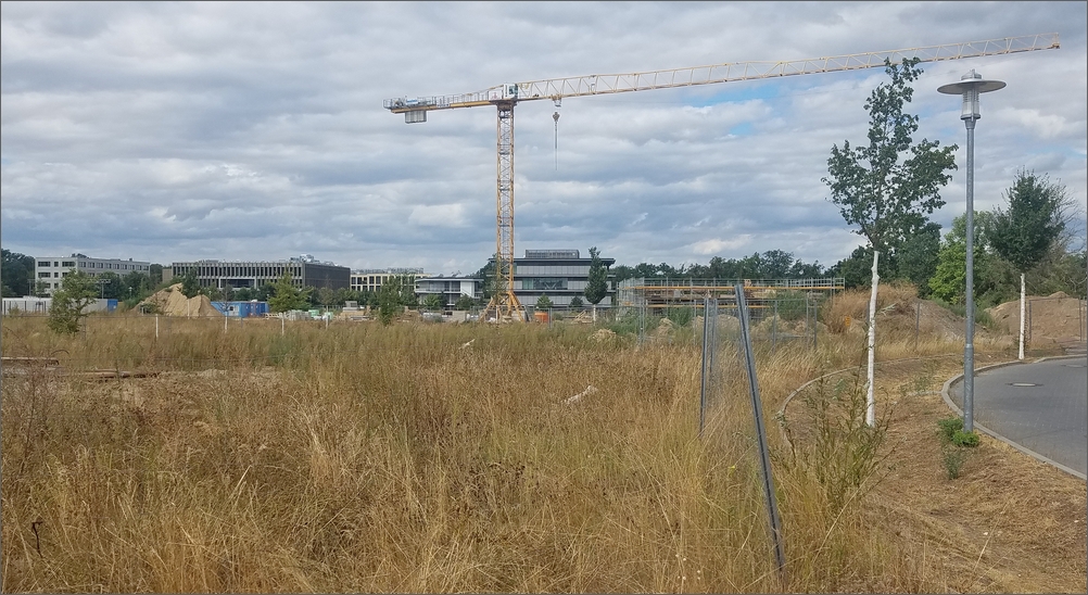 campus_jungfernsee17.jpg