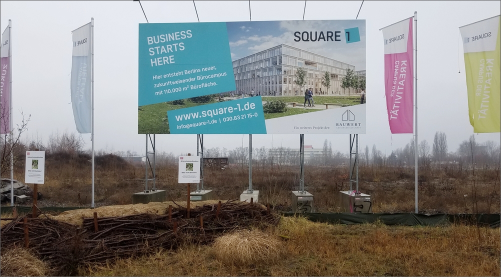 square1_01.jpg