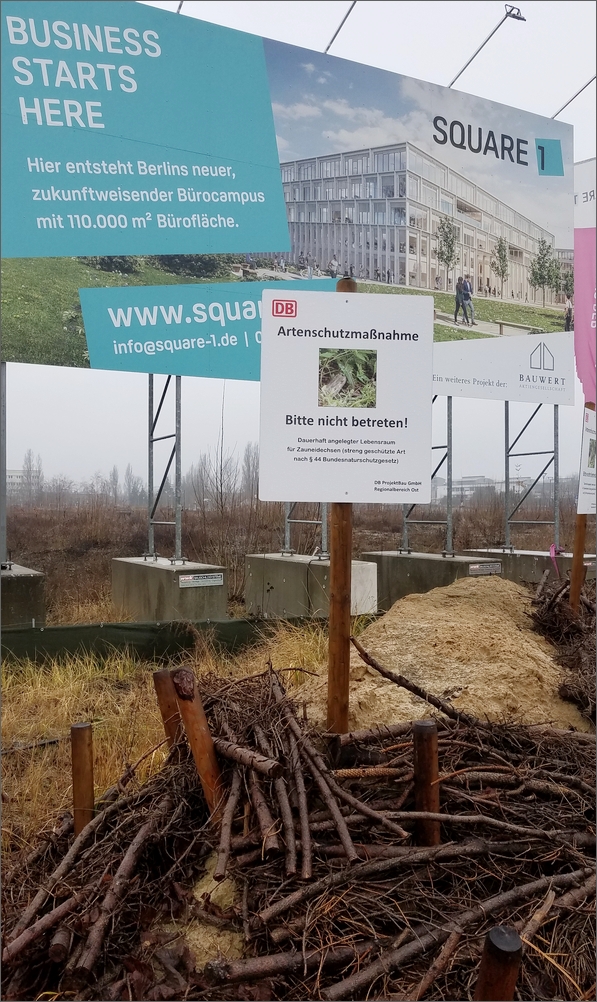 square1_09.jpg