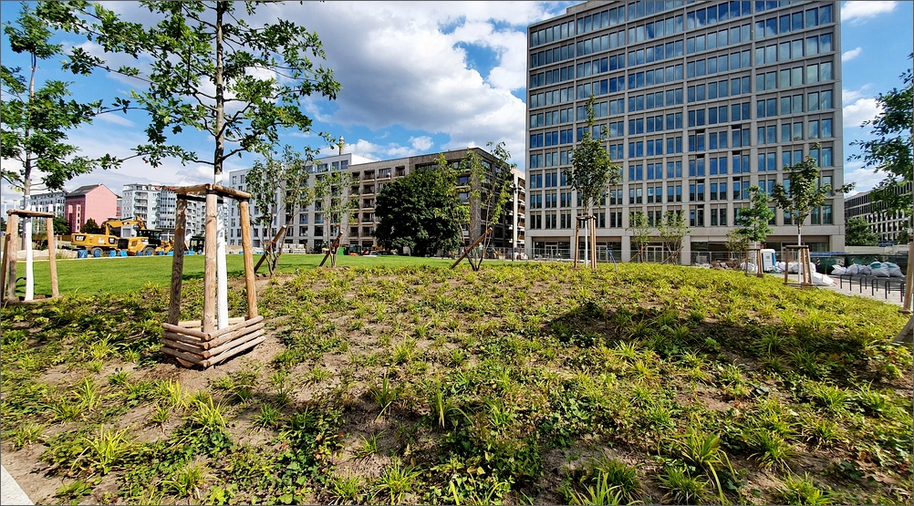 goldameir_owplatz04.jpg