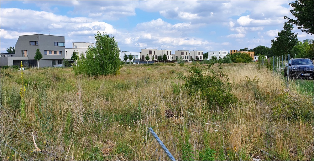 campus_jungfernsee13.jpg