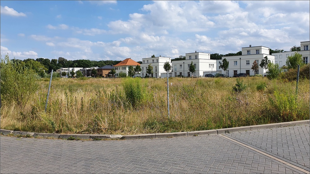 campus_jungfernsee14.jpg