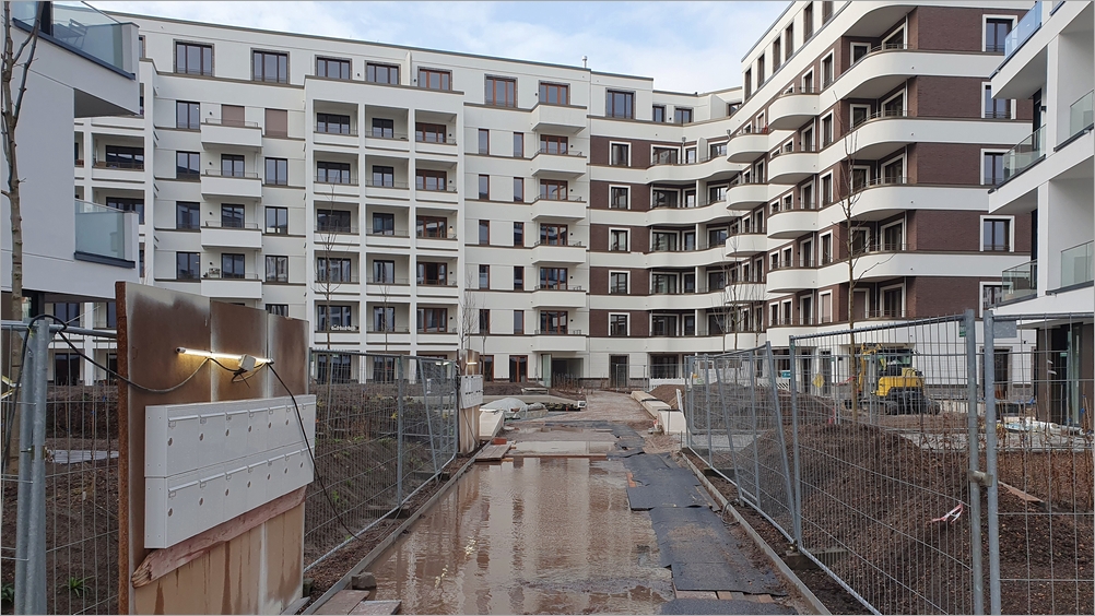 cbogen02.jpg