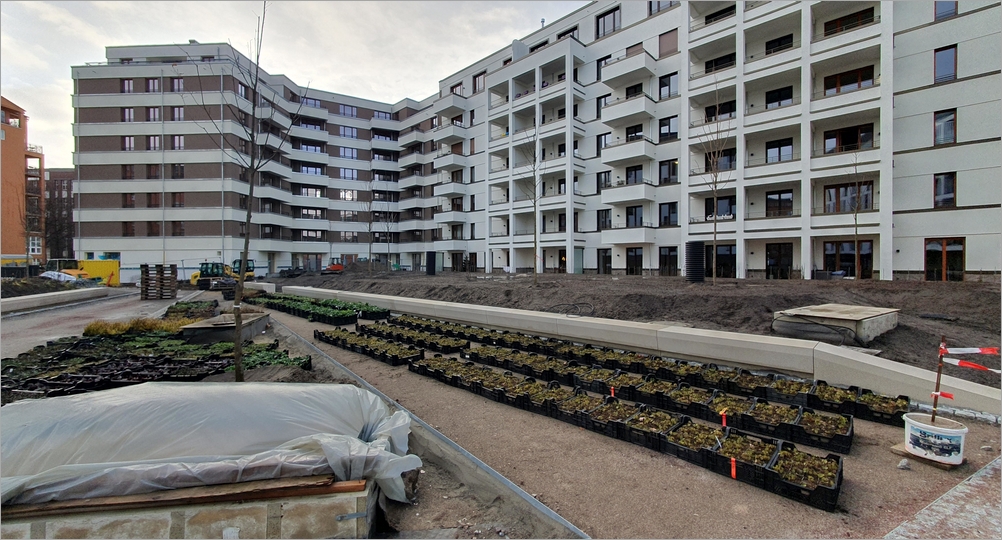 cbogen05.jpg