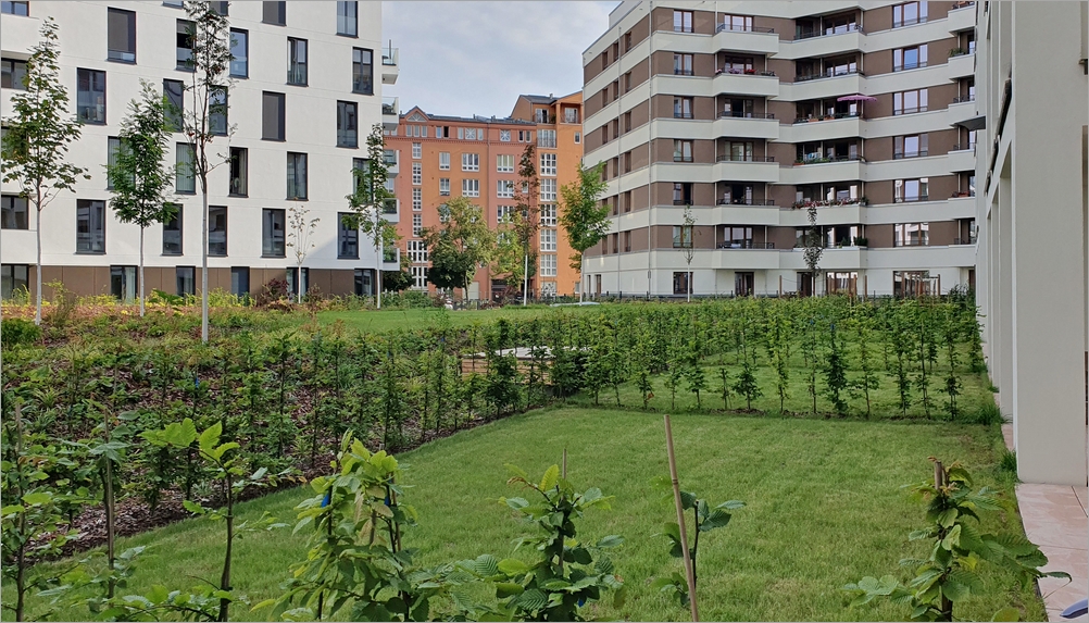 charlottenbogen06.jpg