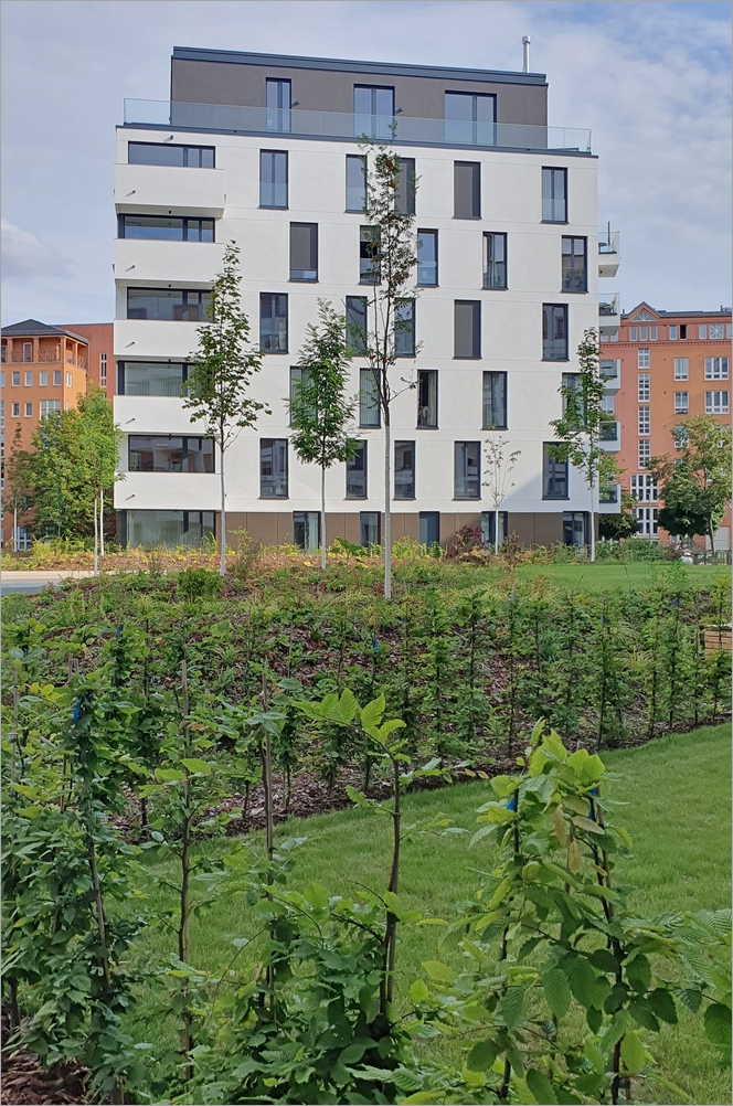 charlottenbogen07.jpg