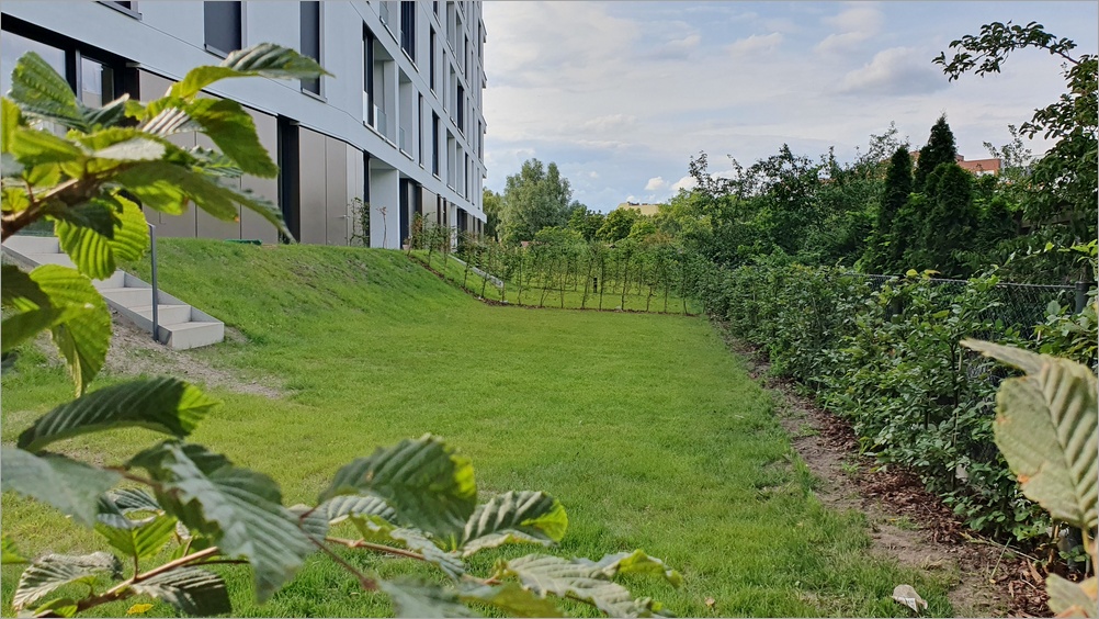 charlottenbogen13.jpg