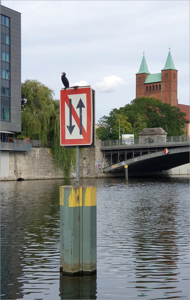 charlottenbogen14.jpg