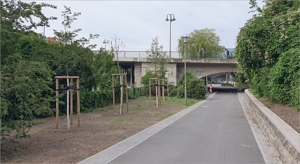 neuer_uferweg_hansa07.jpg