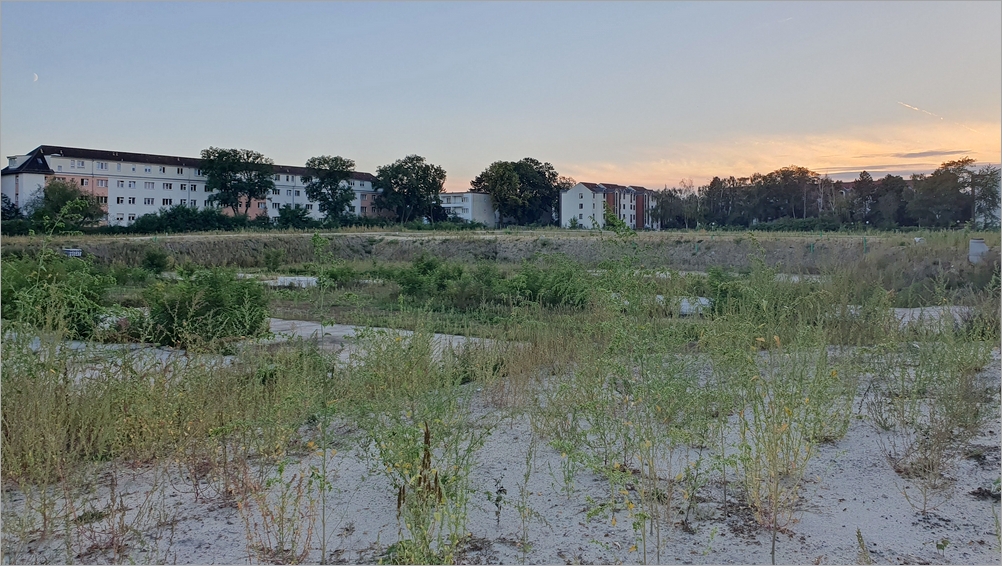 greenpark01.jpg