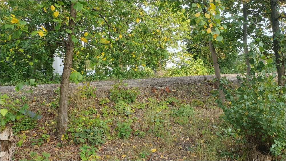 u6_sanierung18.jpg