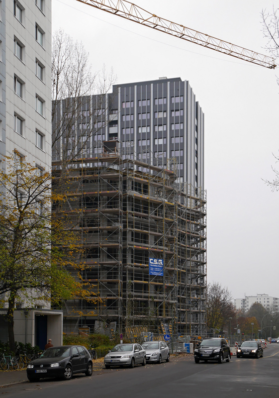 P1010108.JPG