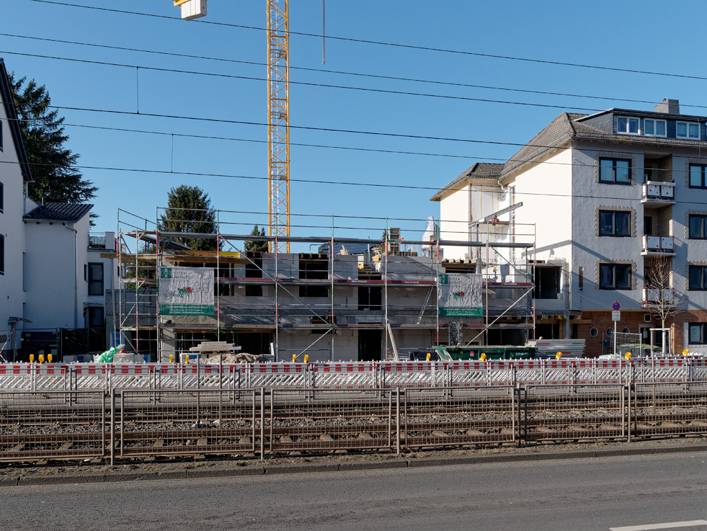 P1020326_DxO.jpg