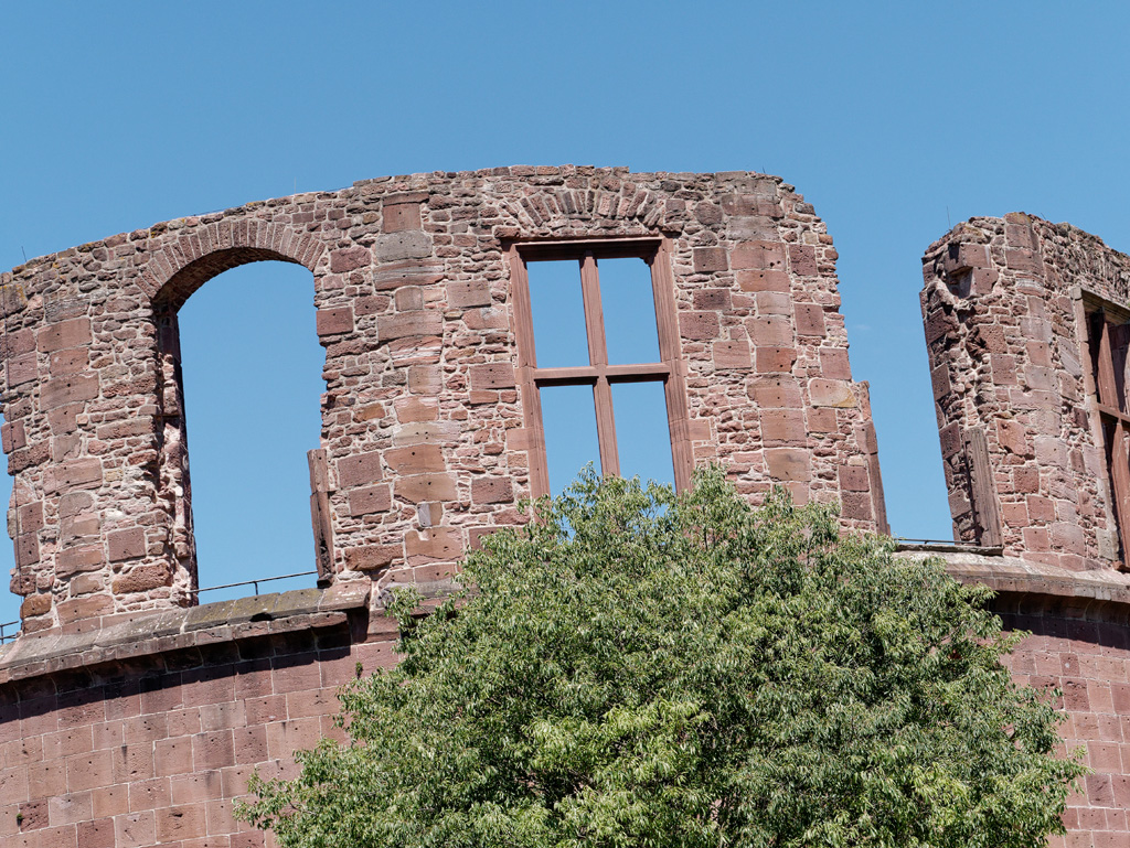 P1020645_DxO.jpg