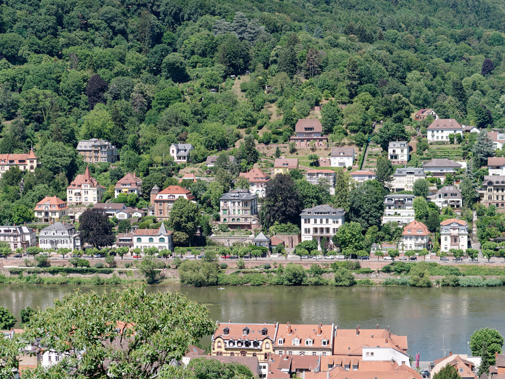 P1020653_DxO.jpg