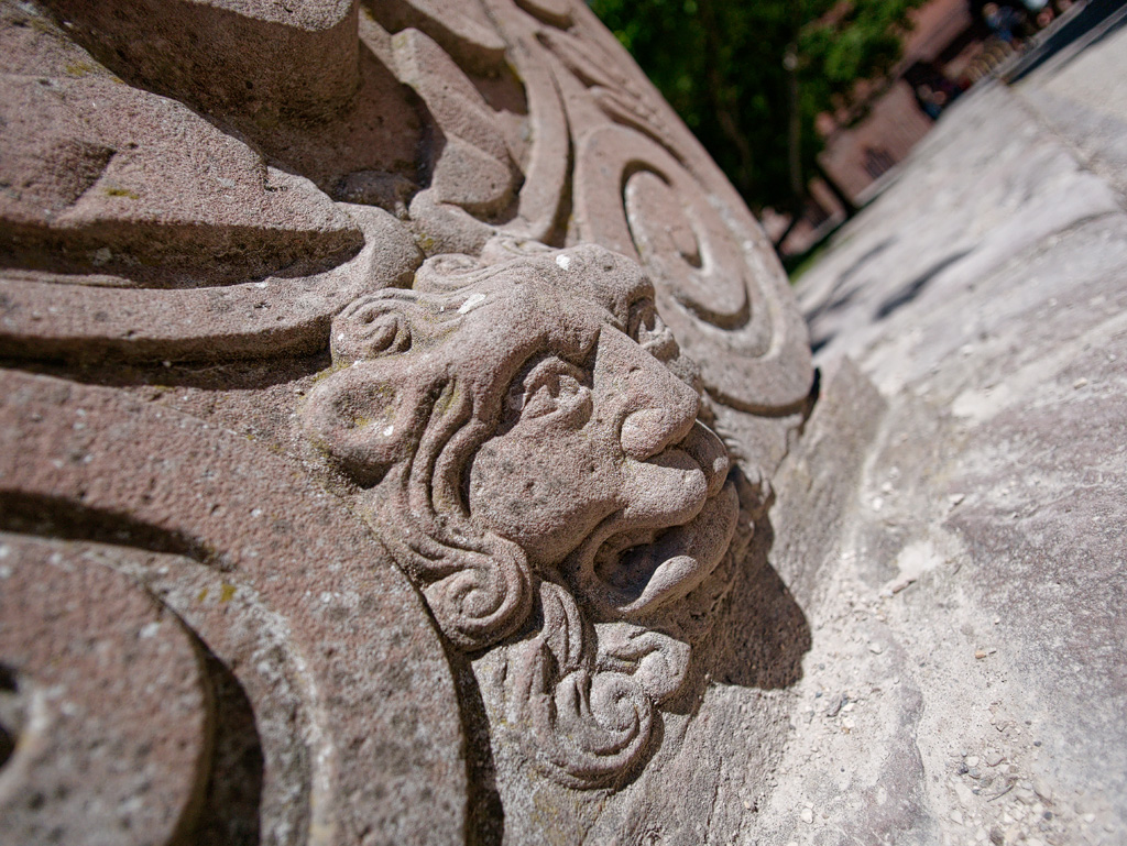 P1020661_DxO.jpg