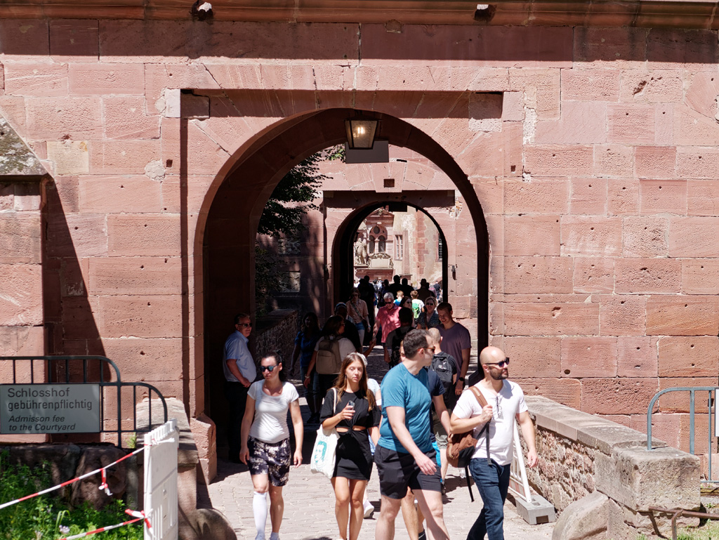 P1020667_DxO.jpg