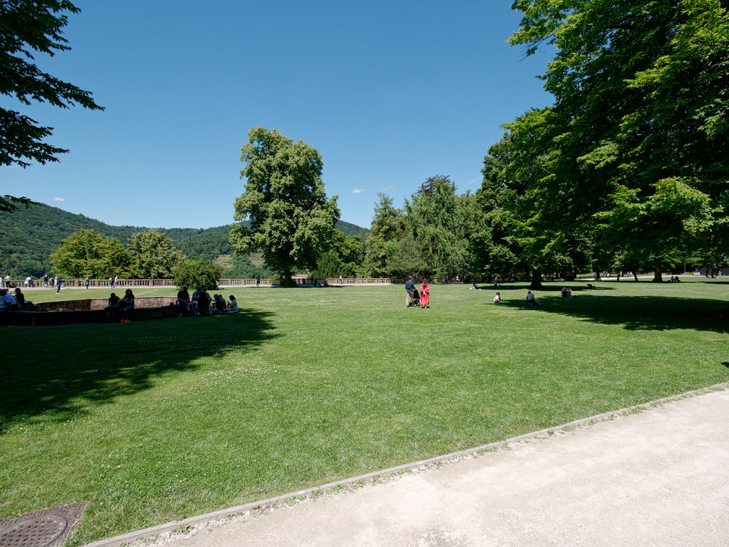 P1020693_DxO.jpg