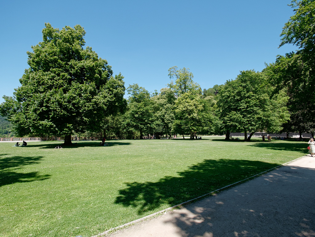 P1020696_DxO.jpg