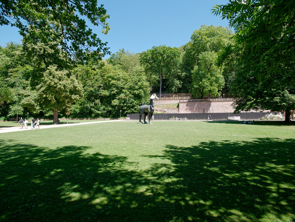 P1020698_DxO.jpg