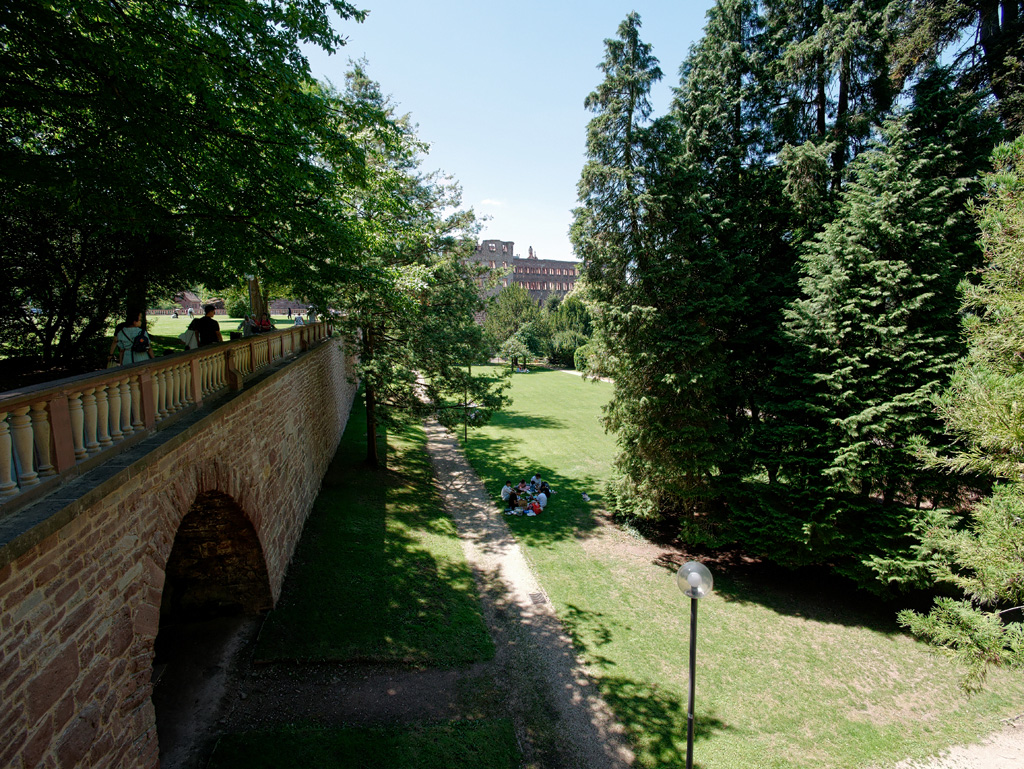 P1020699_DxO.jpg