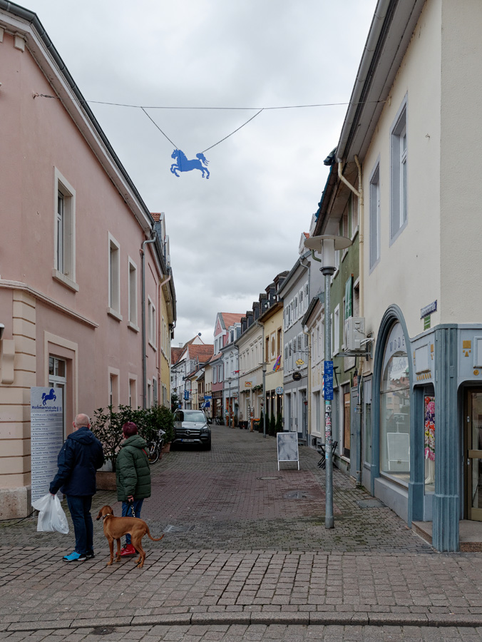 P1010950_DxO.jpg