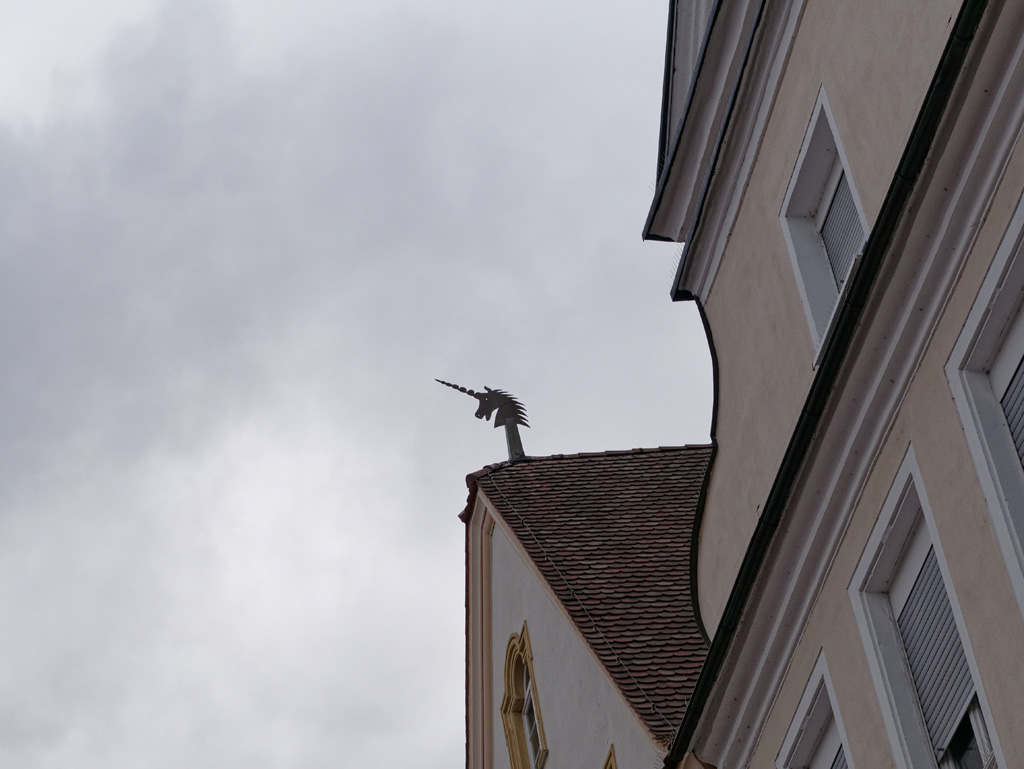 P1010958_DxO.jpg