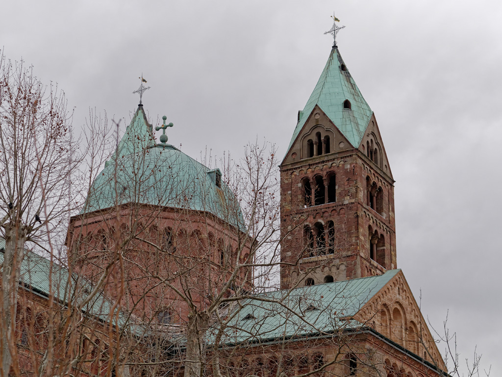P1020009_DxO.jpg