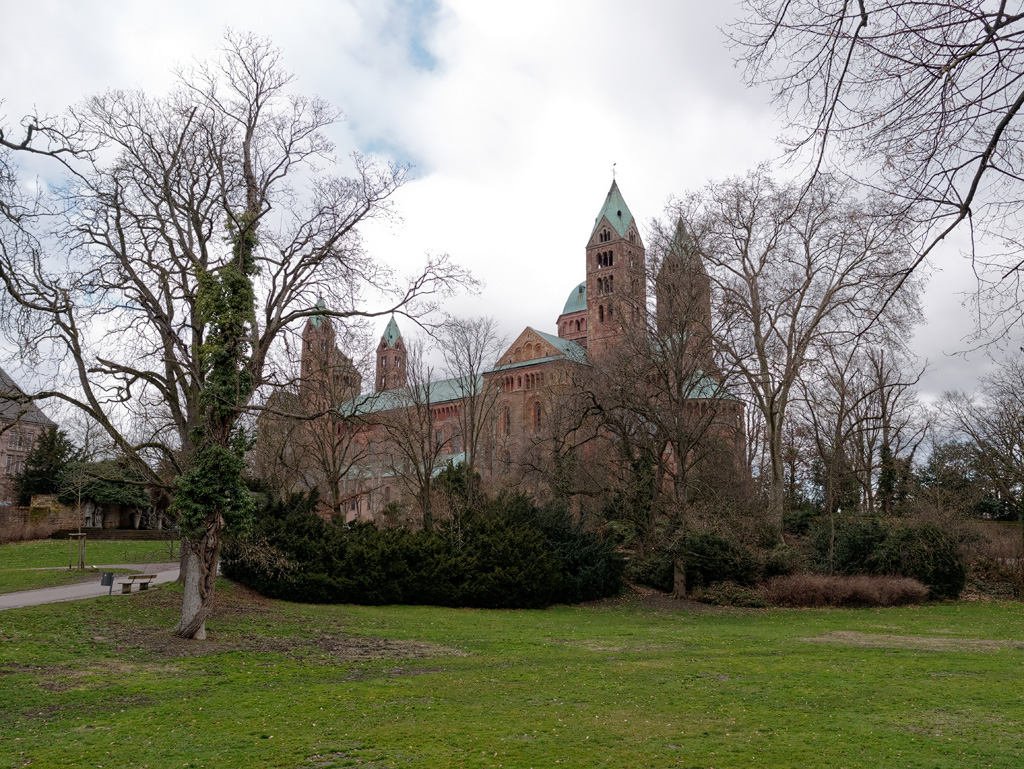P1020018_DxO.jpg