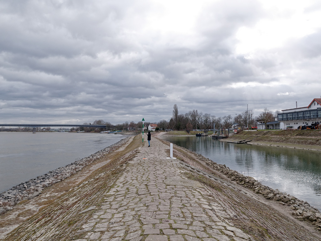 P1020024_DxO.jpg