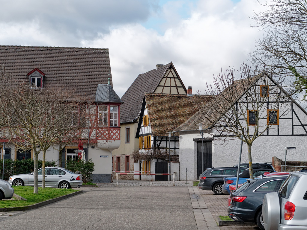 P1020054_DxO.jpg
