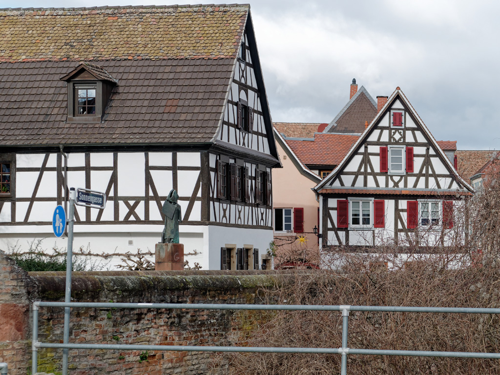 P1020056_DxO.jpg