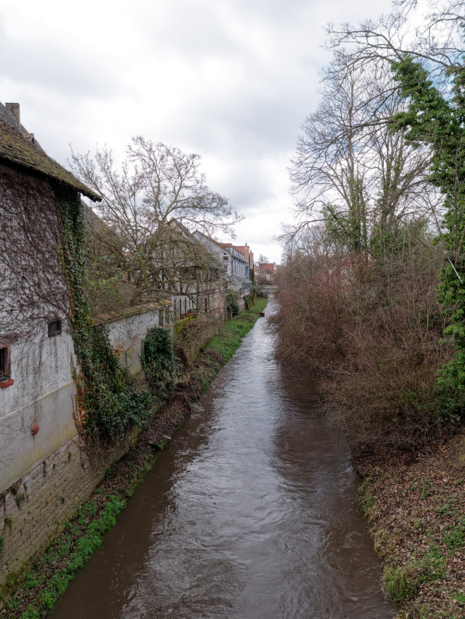 P1020060_DxO.jpg