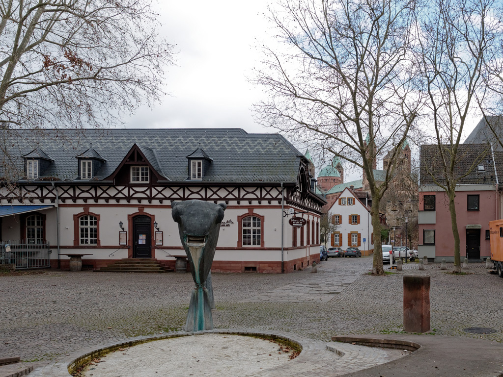 P1020089_DxO.jpg
