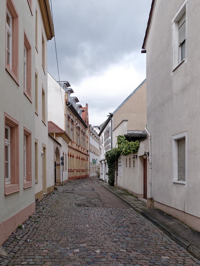 P1020107_DxO.jpg