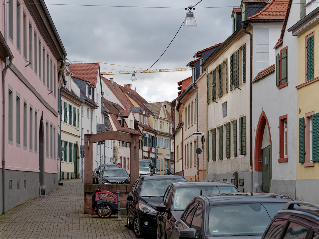 P1020127_DxO.jpg