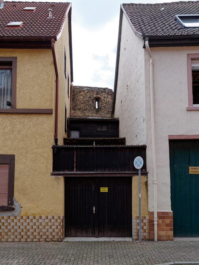 P1020128_DxO.jpg