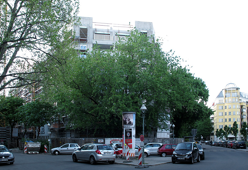 bura05.jpg