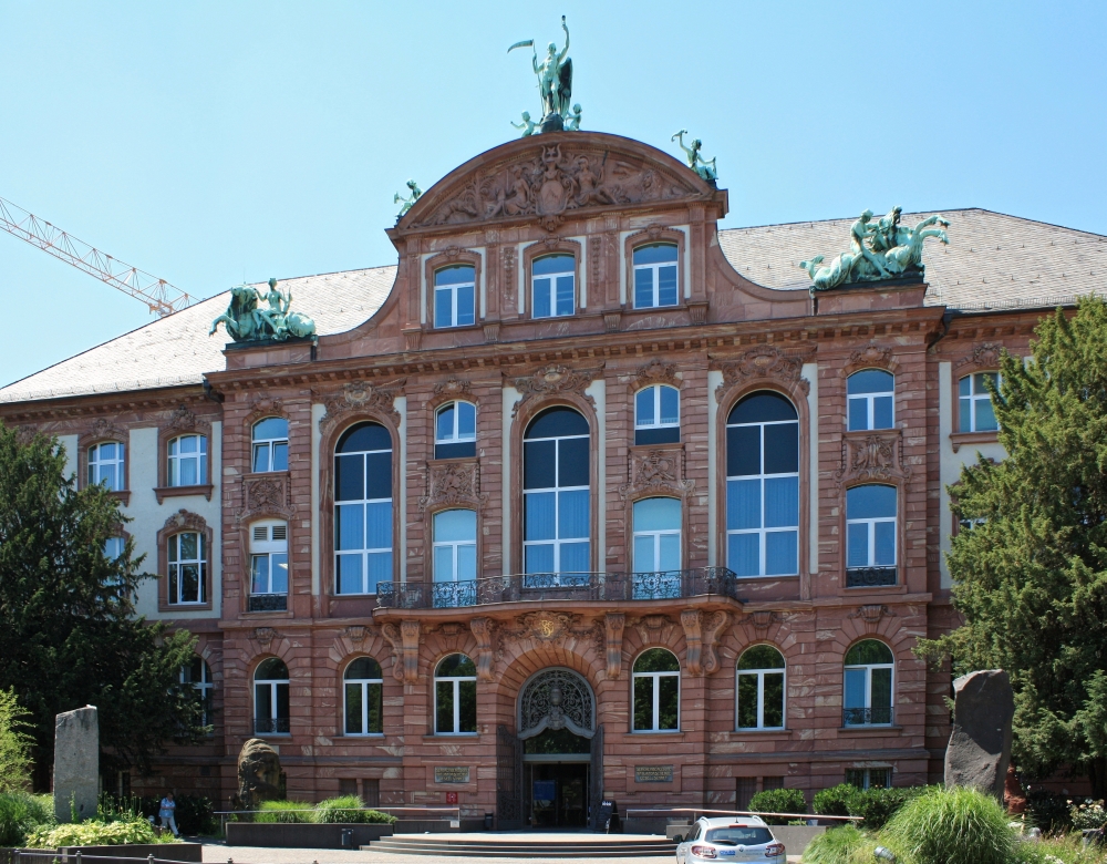 3106senckenbergmuseum.jpg