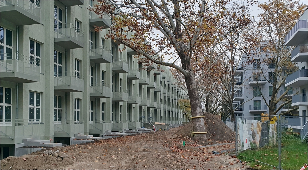 carossa07.jpg