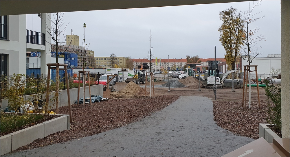 carossa19.jpg