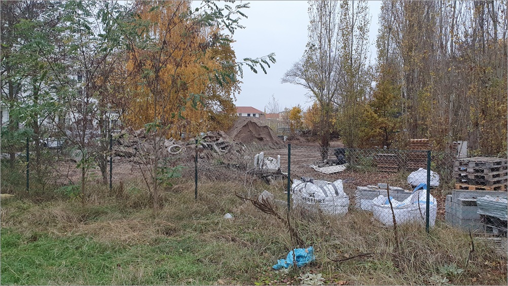 carossa24.jpg