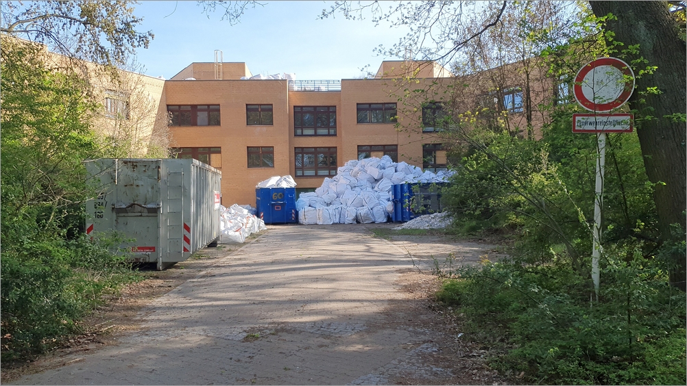 bonni03.jpg