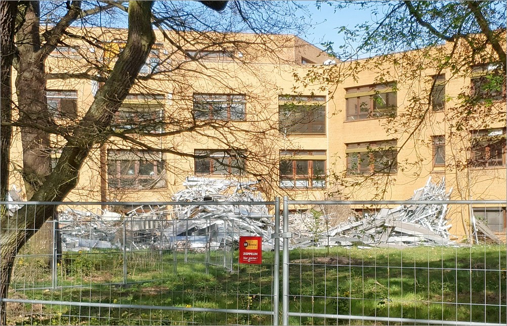 bonni05.jpg
