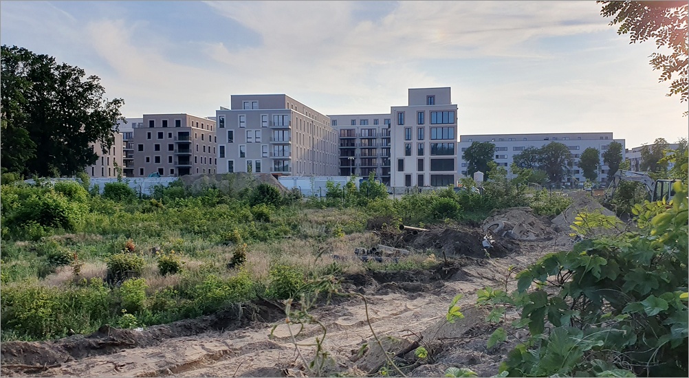 waterkant3_01.jpg
