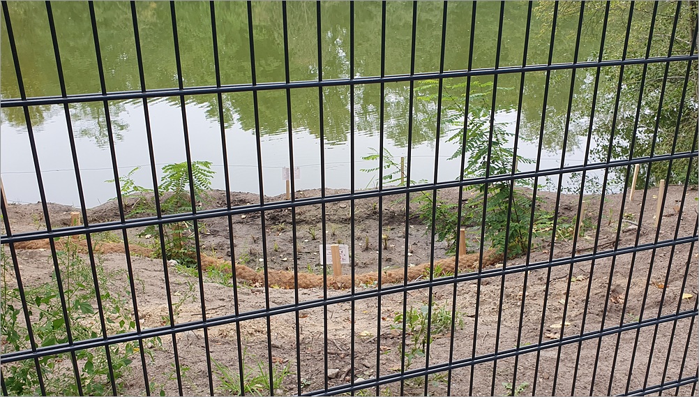 ploetzensee_zaun04.jpg
